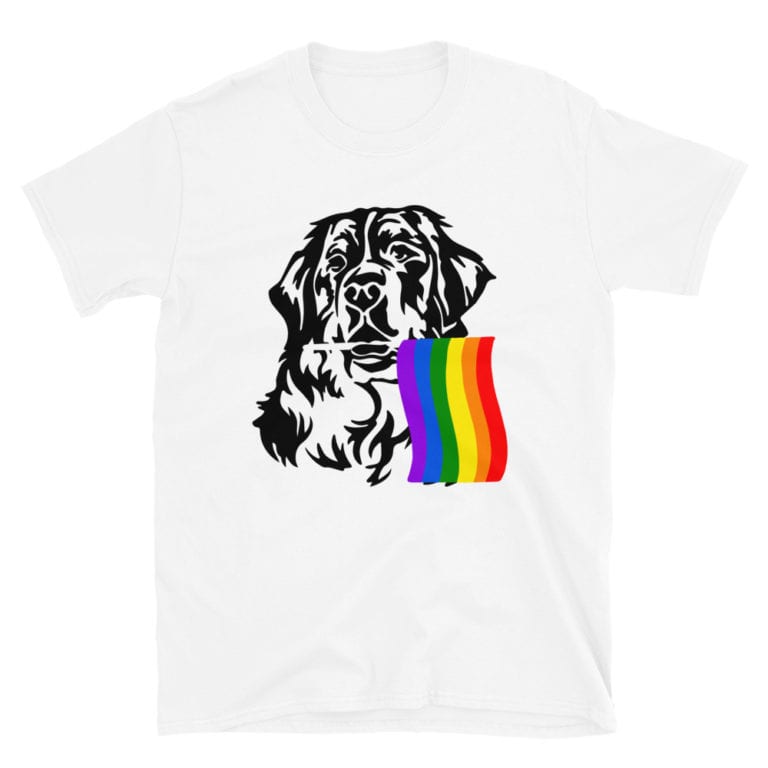 st bernard gay pride tshirt